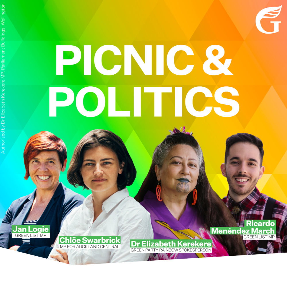 Picnic and Politics with Green MPs